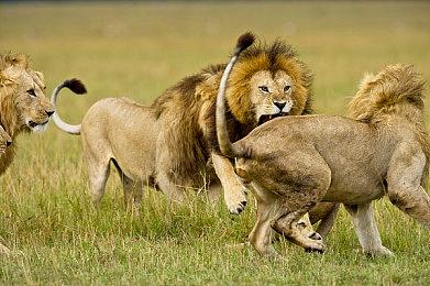 有圣歌那味儿！Nexon第三人称射击新作《Project Magnum》首曝实机预告